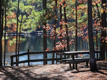 Lakeside Sitting at Hidden Lake, Union City, GA, 30291 - Photo Gallery 13