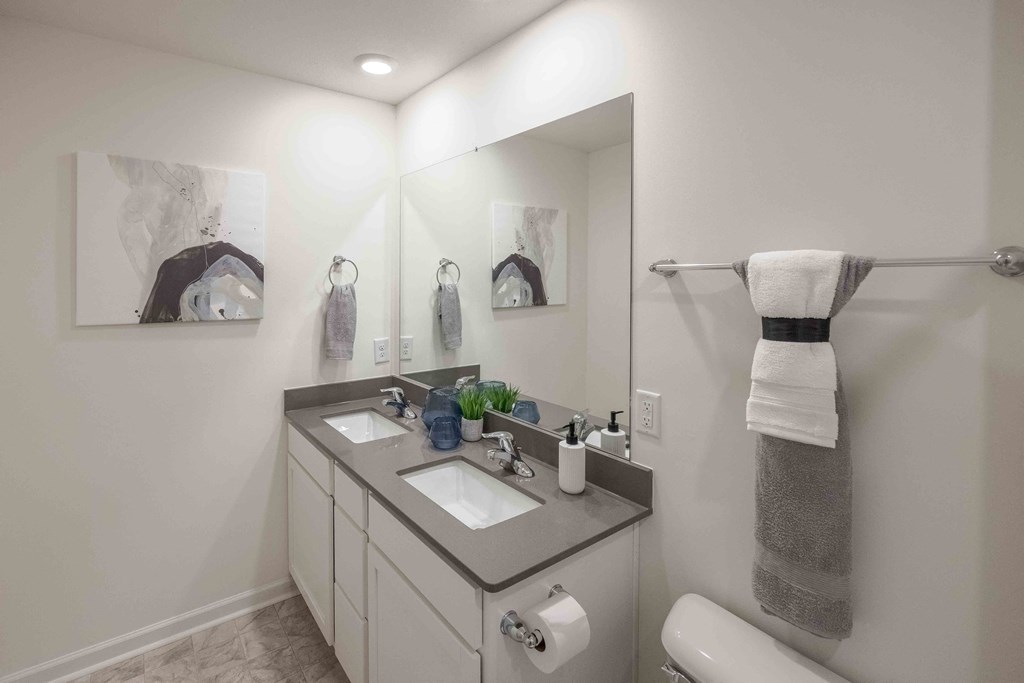a bathroom with a sink and a mirror and a towel rack