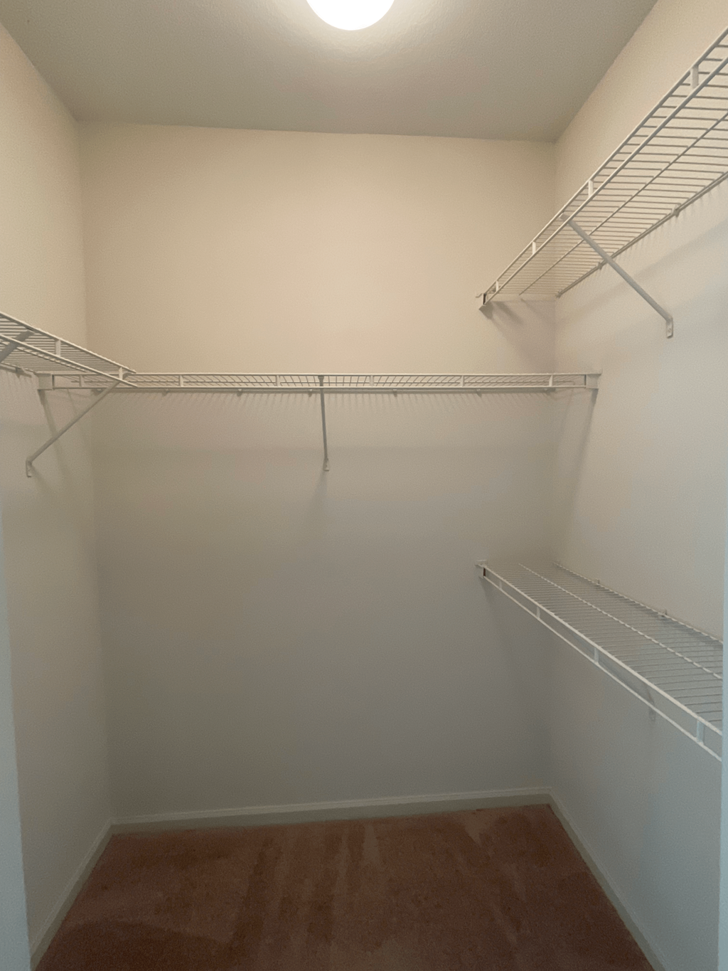 a walk in closet with shelves and a ceiling light