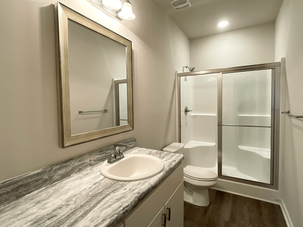 a bathroom with a sink and a shower and a mirror