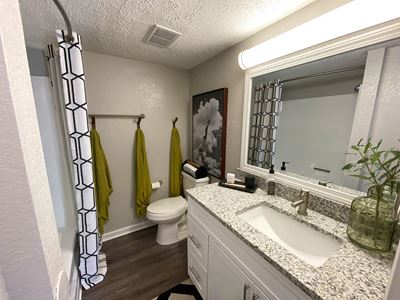 Bathroom sink with toilet and shower rod at Latitude at Riverchase