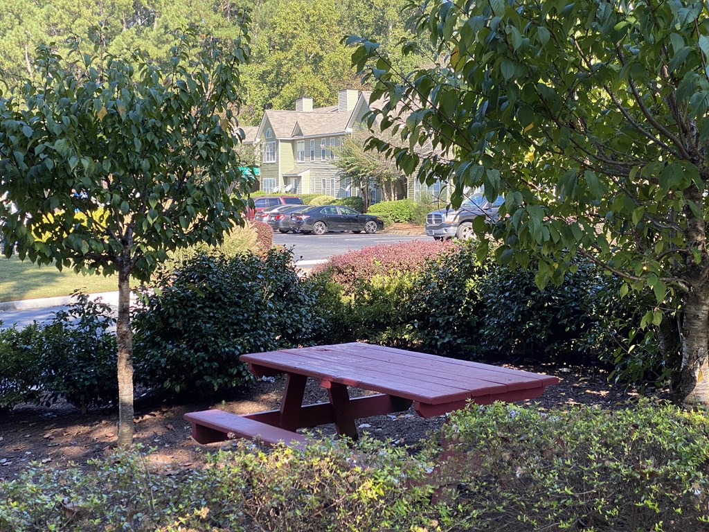 Twin Springs Apartments, Norcross Georgia, community grill and picnic areas