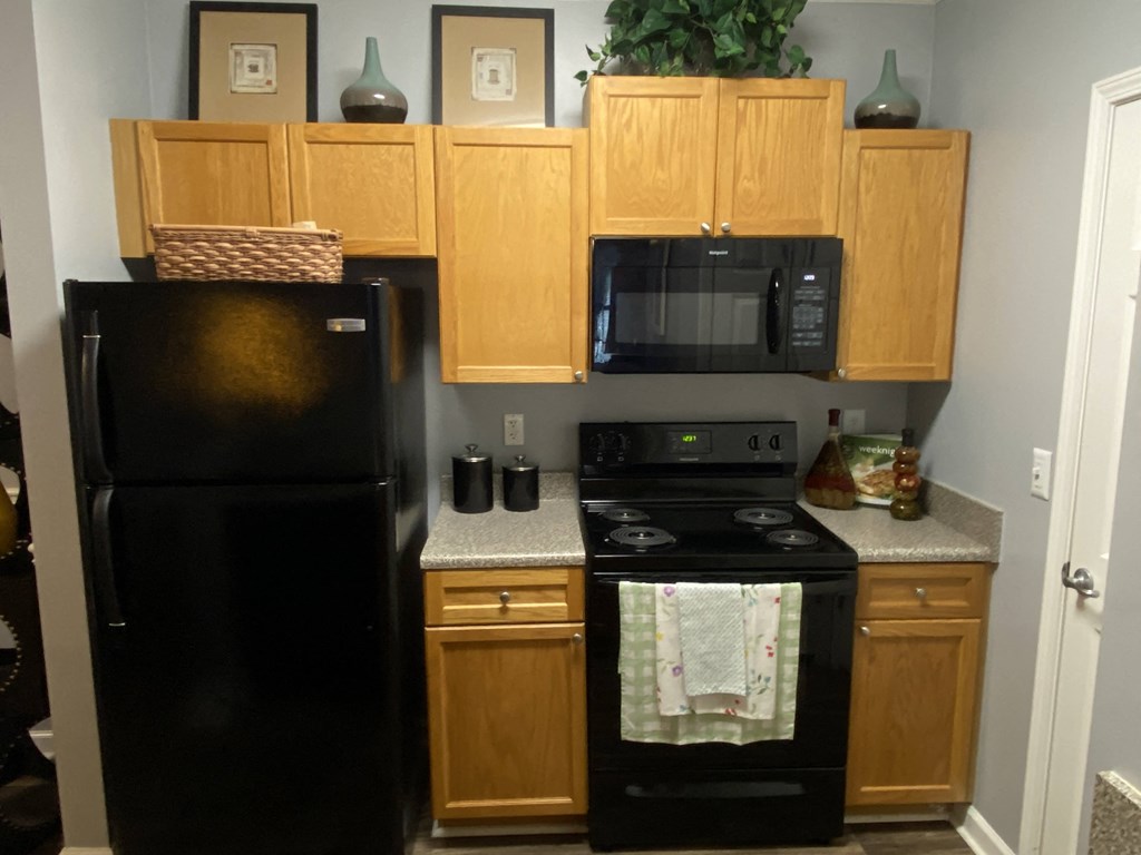 Edgewater Vista Apartments, Decatur Georgia, built-in black microwave in kitchen