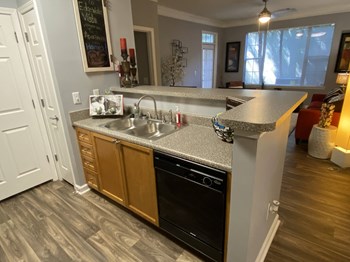 Edgewater Vista Apartments, Decatur Georgia, model apartment with fully-equipped kitchen - Photo Gallery 14