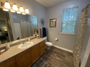 Edgewater Vista Apartments, Decatur Georgia, spacious master bathroom with large vanity - Photo Gallery 24