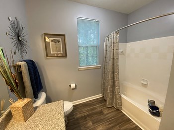 Edgewater Vista Apartments, Decatur Georgia, spacious master bathroom - Photo Gallery 23