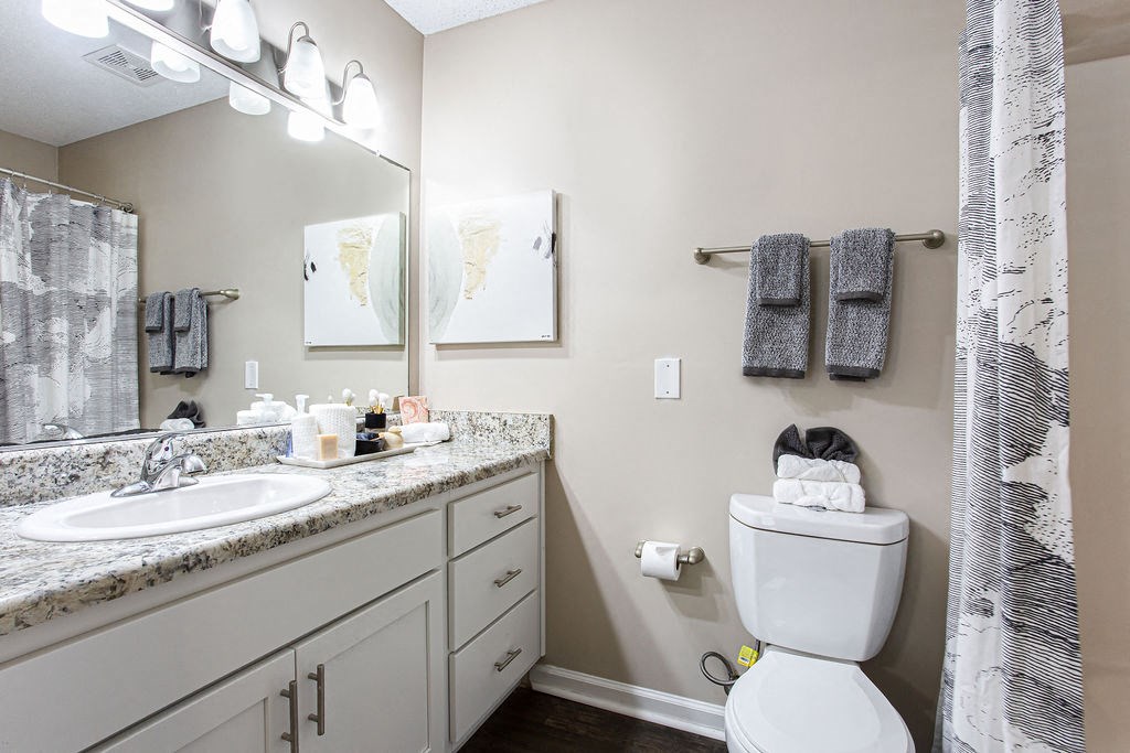 a bathroom with a sink and a toilet and a mirror at Indigo Apartments Gainesville, Georgia