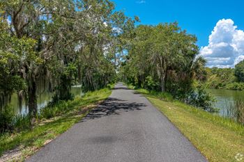 a road with trees and water on both sides of it at Waters Edge Apartments, Lakeland, FL