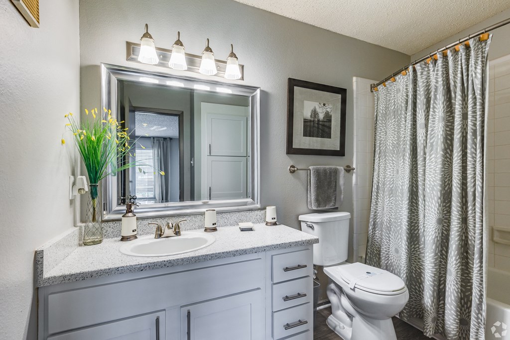 a bathroom with a sink and a mirror and a toilet at The Adelaide, Orlando, Florida