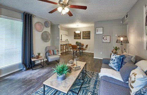 A living room with a grey couch and a rug.