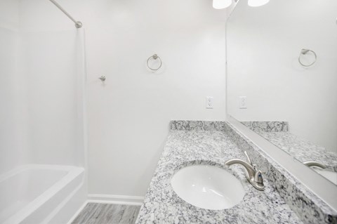 a bathroom with a sink and a shower and a mirror