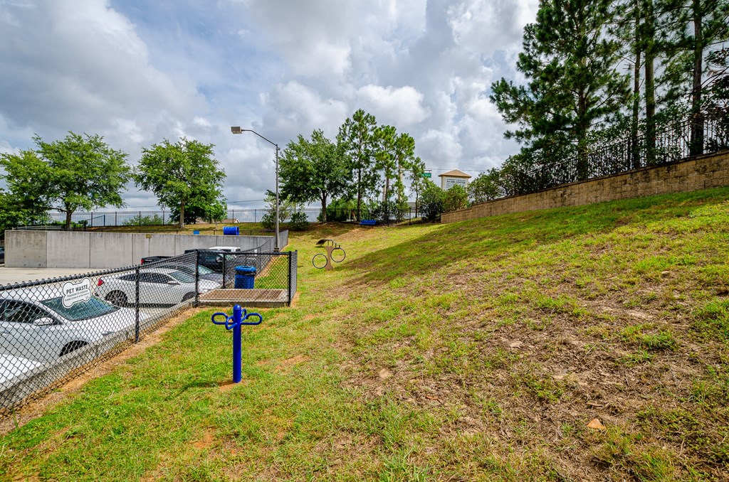 Green Space at Lofts at South Lake, Clermont, Florida