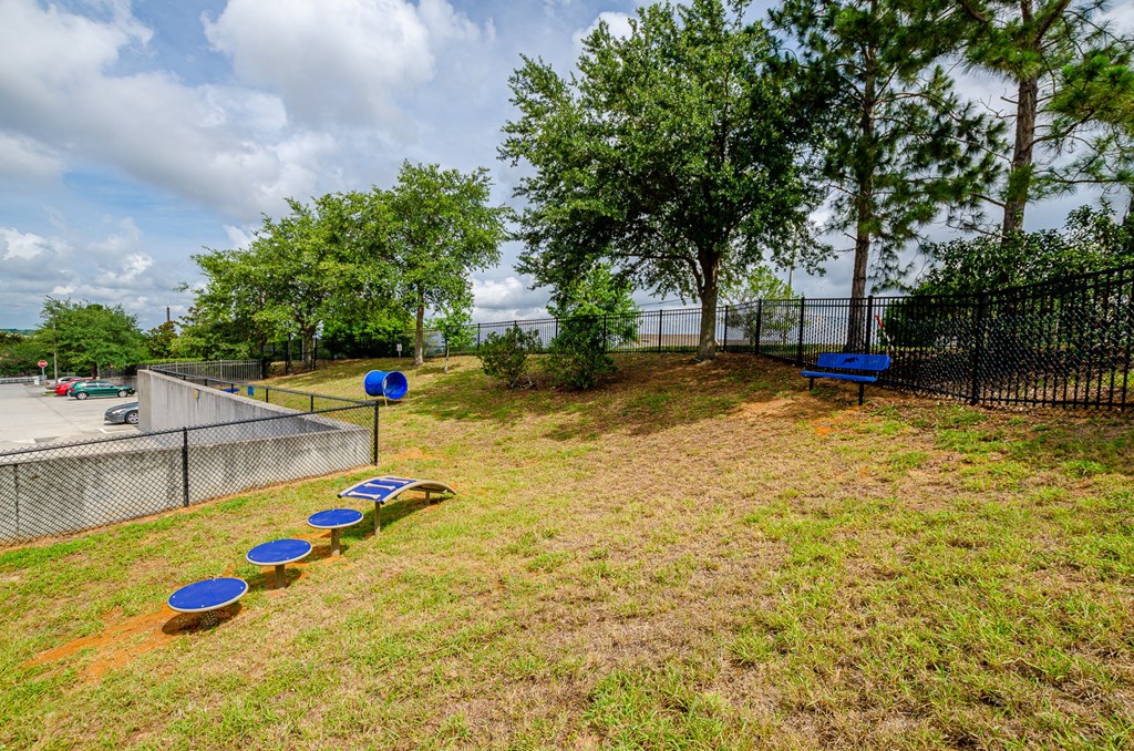 Lakeside Green Space at Lofts at South Lake, Clermont