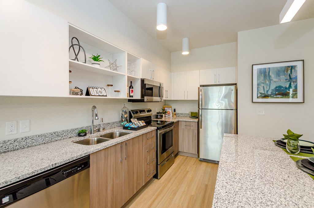 Kitchen Appliances at Lofts at South Lake, Clermont, FL