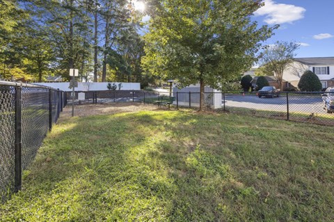 A sunny day in a park with a fence and trees.