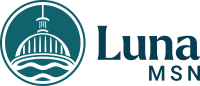A logo with a ship and the words "Luna MSN" in blue.
