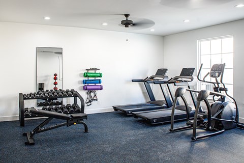 A gym with a mirror, weights, and exercise equipment.