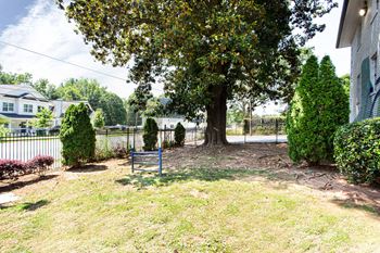 a large tree in a yard with a blue sign in front of it  at The Oasis on Cascade, Atlanta