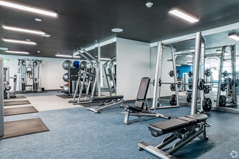 A well-equipped gym with various exercise machines and weights.