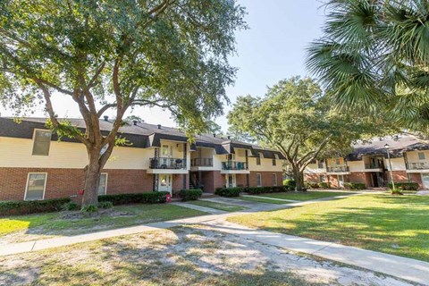 A tree in front of a building with a grassy area in front of it.