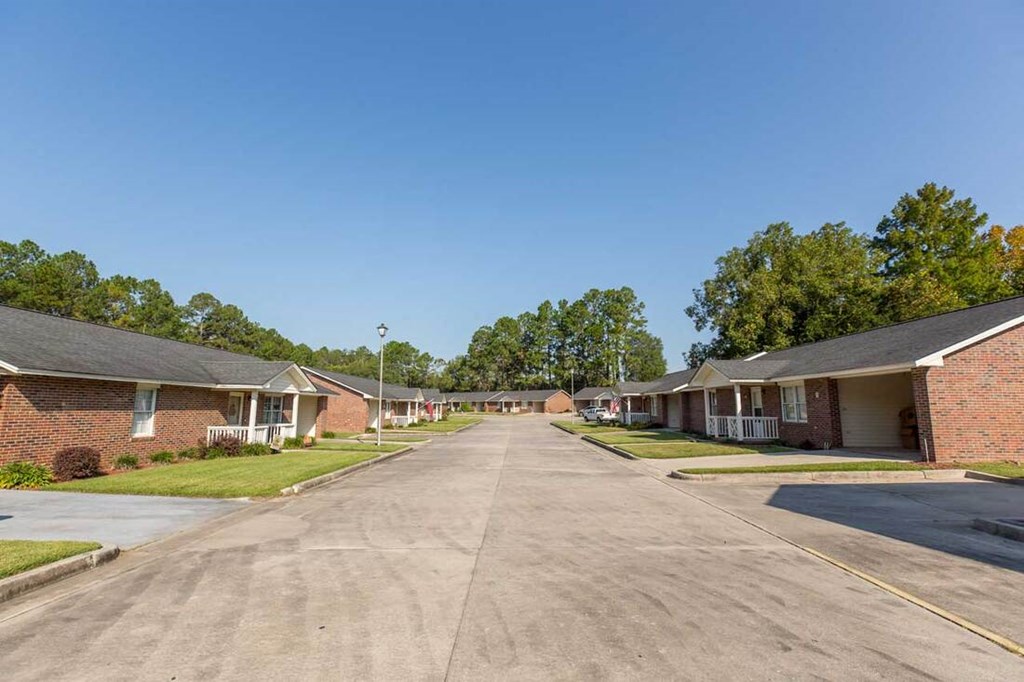 A street view of a residential area with houses on both sides.