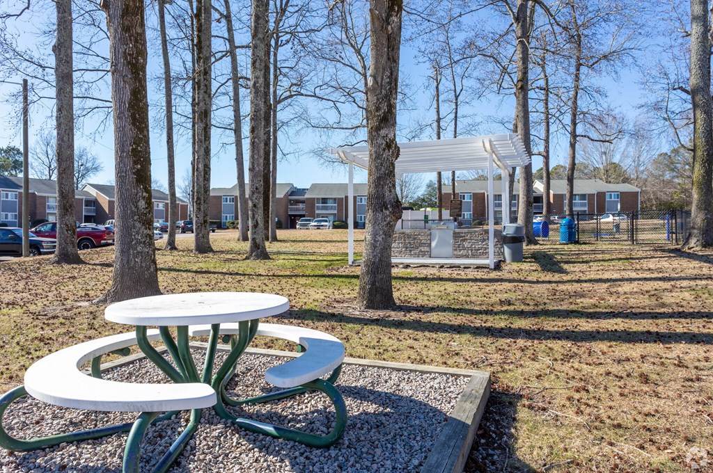 Picnic Area at Tiffany Square, North Carolina