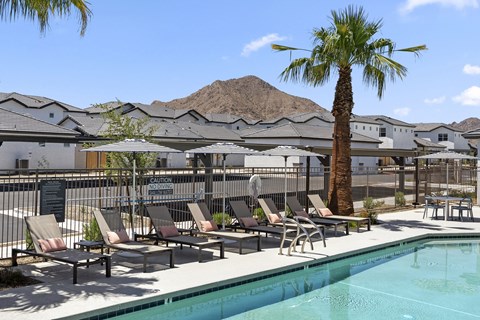 A pool area with lounge chairs and a palm tree.