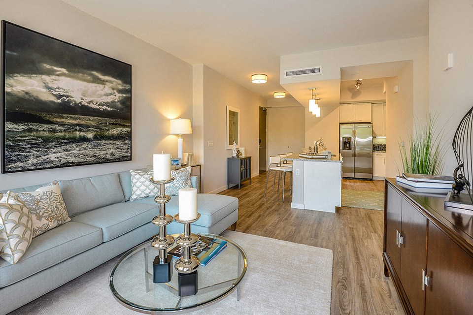 Open Concept Kitchen and Living