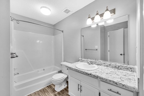 a bathroom with a sink and a toilet and a shower