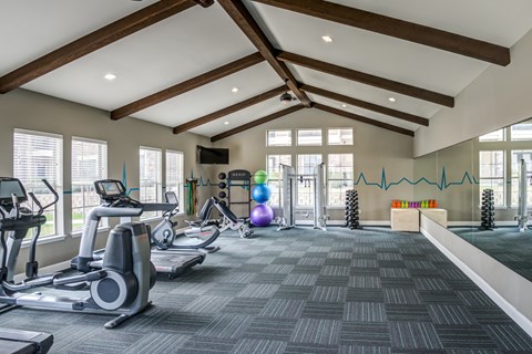 A gym with treadmills, elliptical machines, and other exercise equipment.