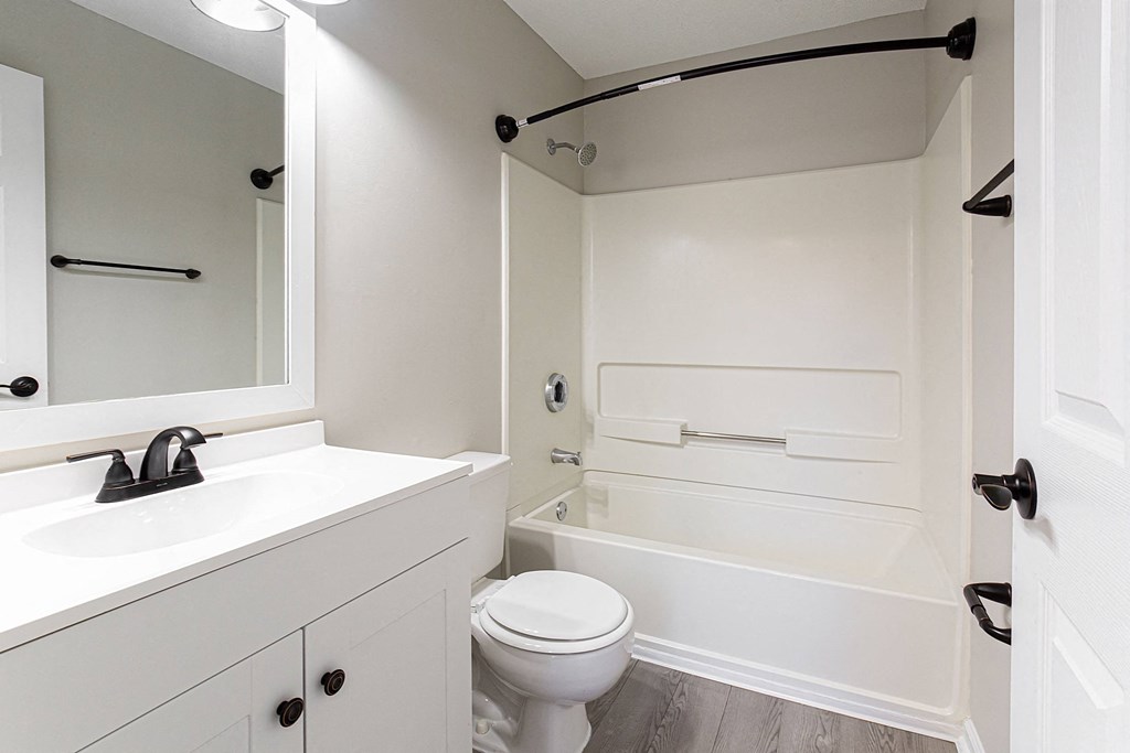 a bathroom with a sink and a toilet and a bath tub