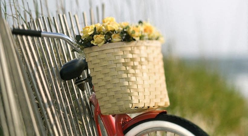 Flowers at Enclave at Bluffton Park, Bluffton, SC, 29910