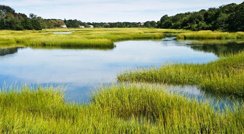 Pond View at Enclave at Bluffton Park, South Carolina