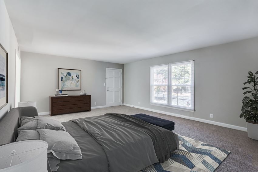 a bedroom with grey walls and carpet a bedroom with grey walls and carpet at The Mason Mills Apartments, Decatur, GA