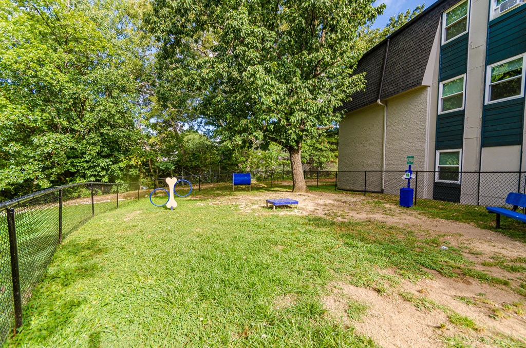 our apartments showcase a dog park with plenty of room to run and play at Summit East Ridge, East Ridge, 37412
