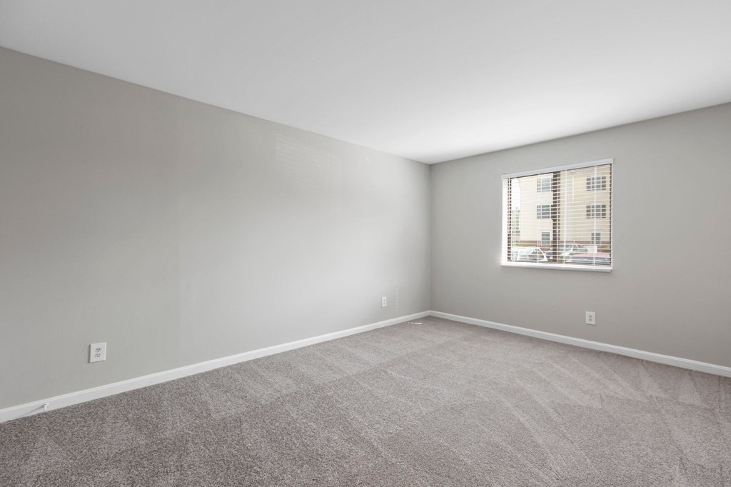 a bedroom with gray walls and carpet