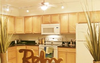 Modern Kitchen With Wooden Cabinet at Summit Terrace, Maine, 4106