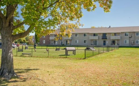 A tree with green leaves stands in a grassy area in front of apartment buildings.