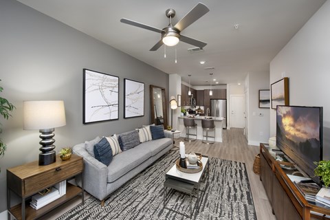 A modern living room with a grey sofa and a black and white rug.