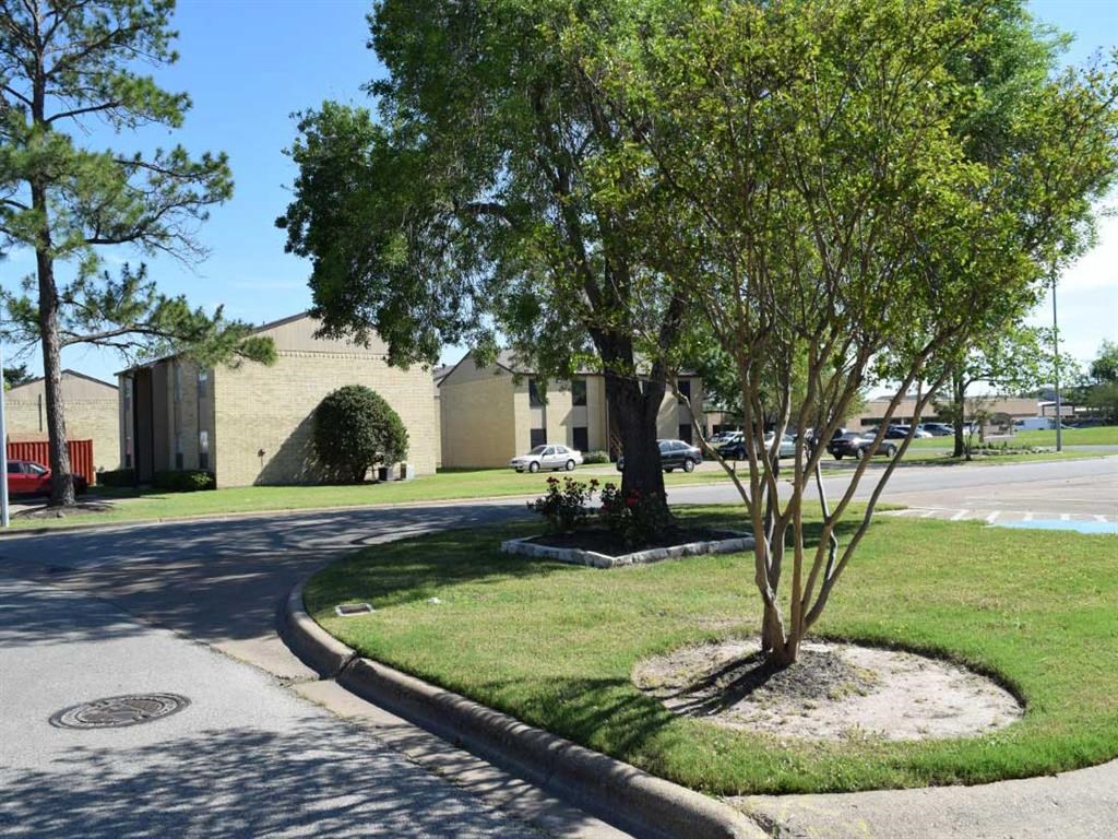 a city street with a tree and a building