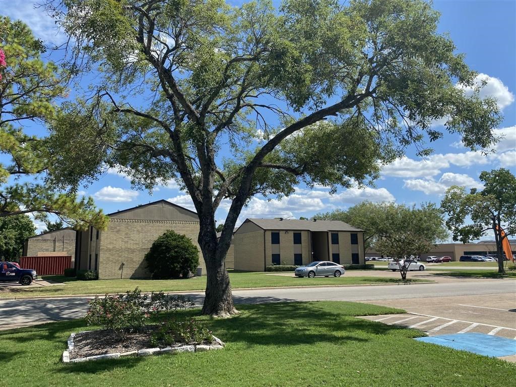a tree in a parking lot in front of a building