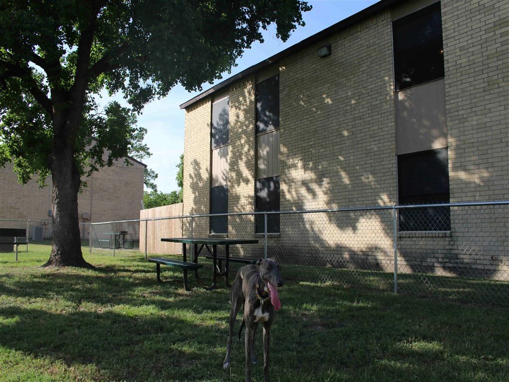 a dog standing in the grass next to a building