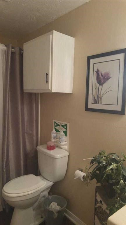 a bathroom with a toilet and a cabinet and a plant