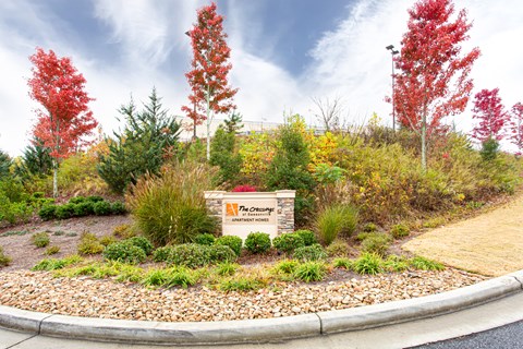 Professional Landscaping at Crossings at Dawsonville