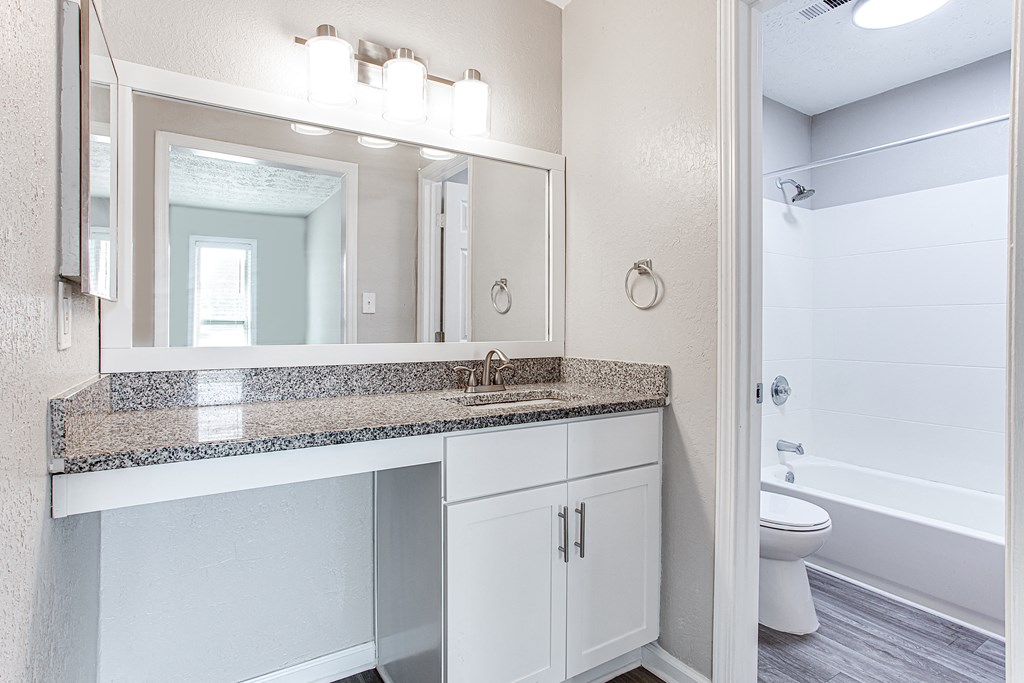 a bathroom with a sink and a mirror at The Ellis Apartments, Clarkston, Georgia