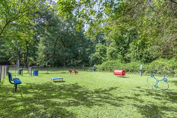 a dog park with agility courses and agility ropes
