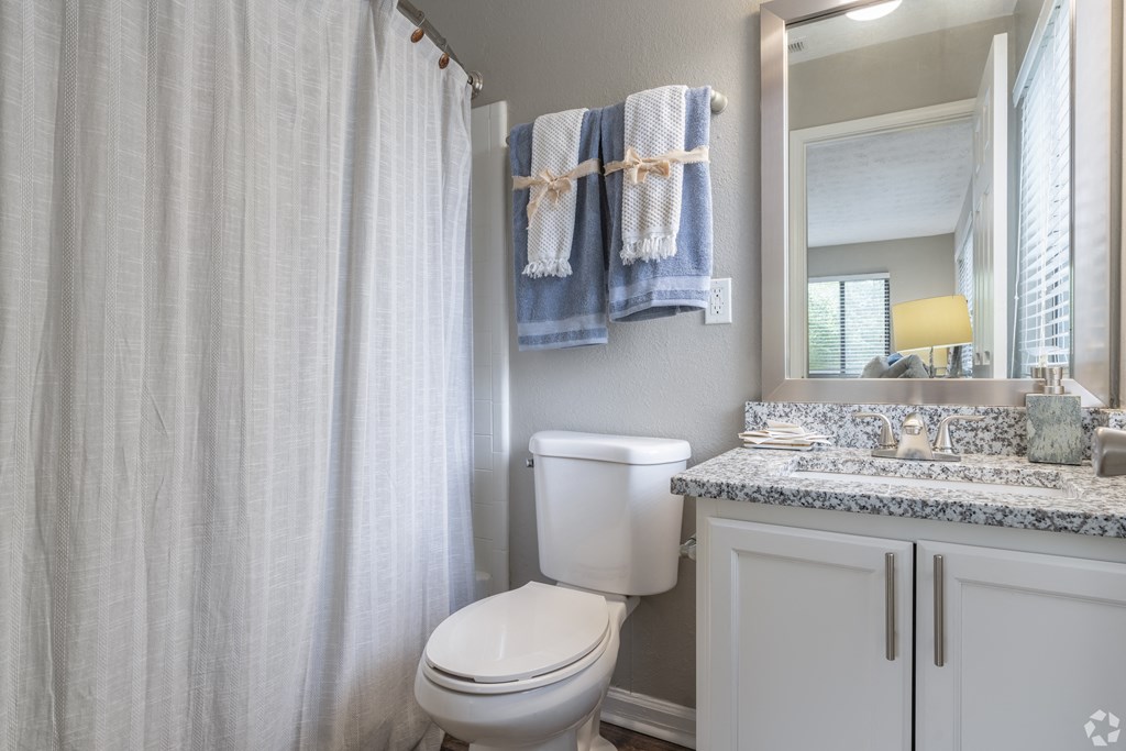 a bathroom with a shower and a toilet and a sink