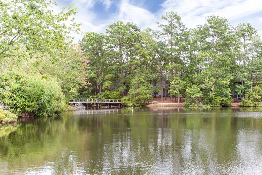 a bridge over a body of water surrounded by trees