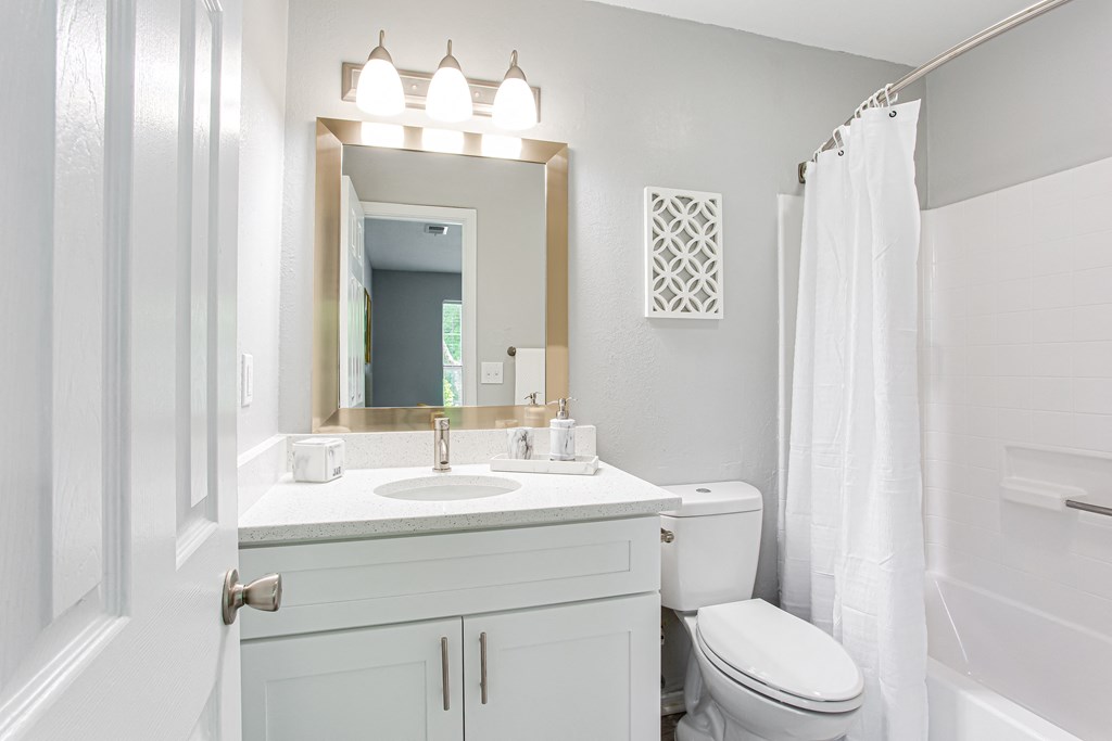 a bathroom with a sink toilet and a mirror at Parc at 1875, College Park