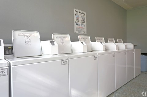 A row of washing machines are lined up in a laundromat.